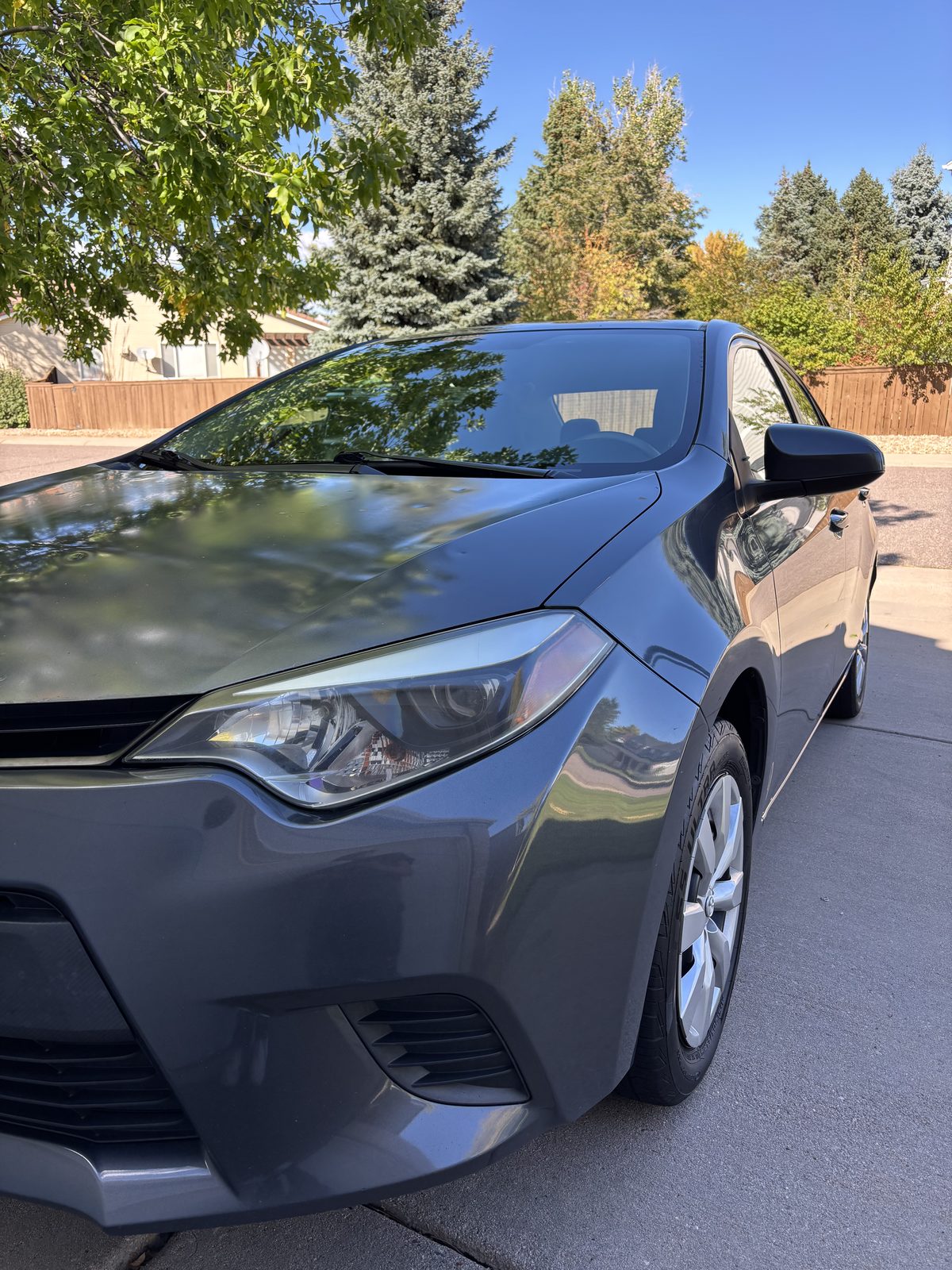 Laura's Toyota Corolla after a full detail